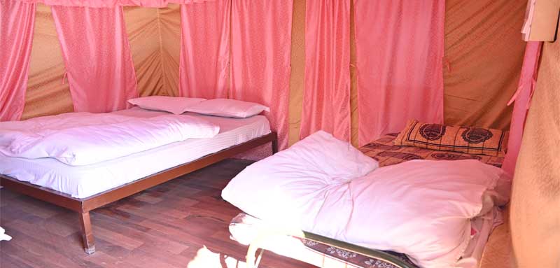 Riverside AC Cottages and Swiss Camps