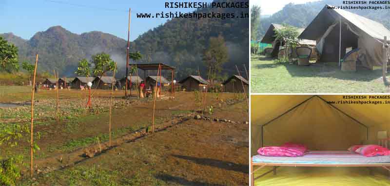 mohanchatti eco camps 4
